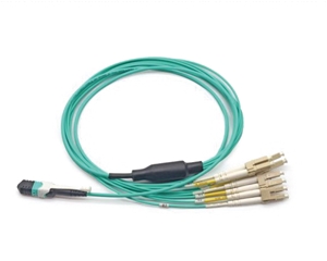 MPO/MTP��֧���w����